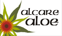 aloe vera for folliculitis Folliculitis Natural Remedy main image 0