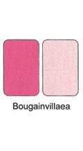 Duo Cream Powder Compact - Bougainvillea