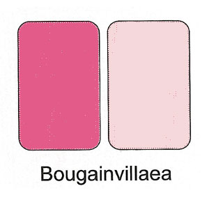 Duo Cream Powder Compact - Bougainvillea